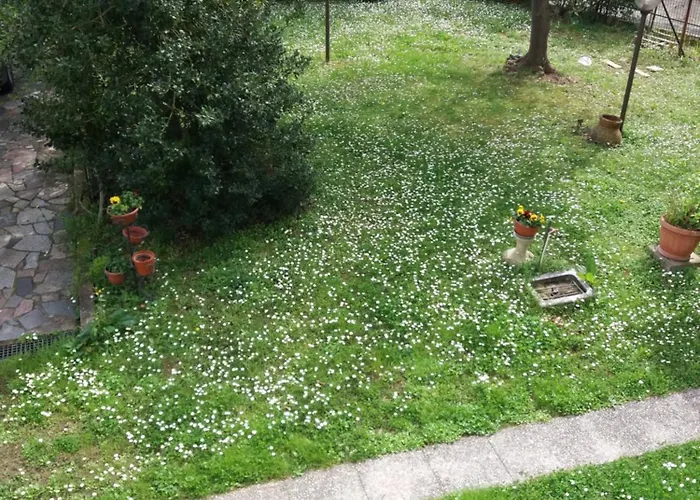 La Casa Del Tiglio 아파트