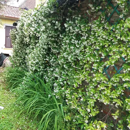La Casa Del Tiglio アパート